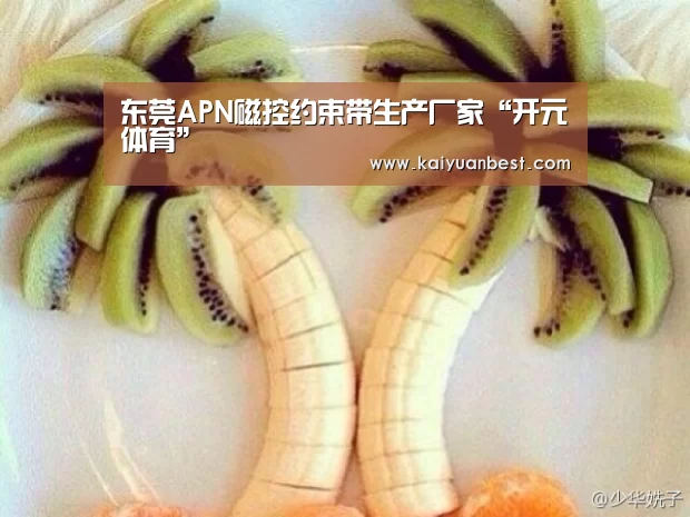 东莞APN磁控约束带生产厂家“开元体育”(图2) 开元下载