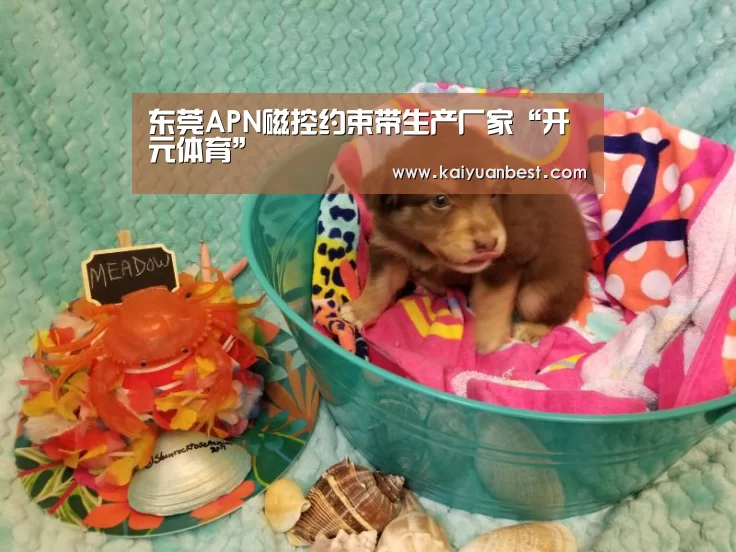 东莞APN磁控约束带生产厂家“开元体育”(图1) 开元赛事